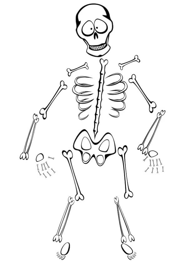 Dibujo de Esqueleto Imprimible para Colorear