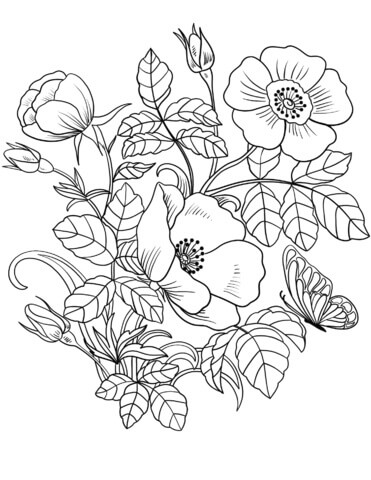 Dibujo de Flores de Primavera y Mariposas para Colorear