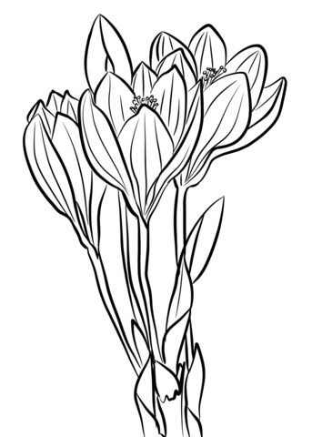 Dibujo de Llamativo en otoño para Colorear