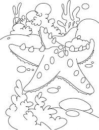 Dibujo de Bonita Estrella de Mar para Colorear
