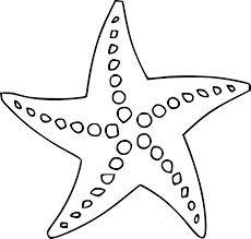 Dibujo de Estrella de Mar Simple para Colorear