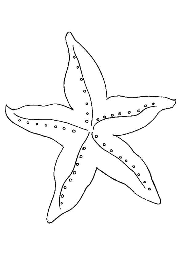 Dibujo de Estrella de Mar Bsica para Colorear