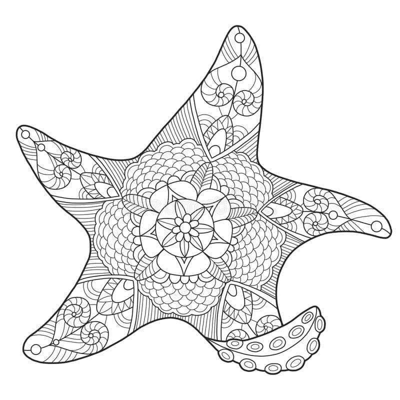 Dibujo de Estrella de Mar Dura para Colorear