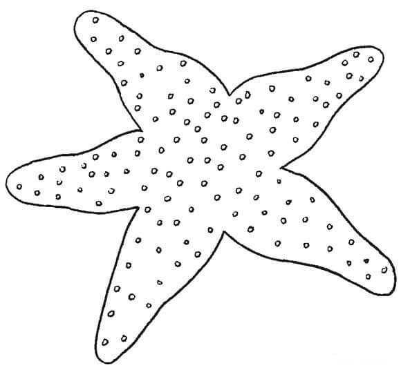 Dibujo de Estrella de Mar Normal para Colorear