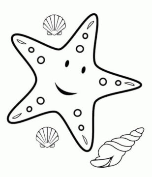 Dibujo de Estrellas de Mar y Caracoles Marinos Conchas Marinas para Colorear