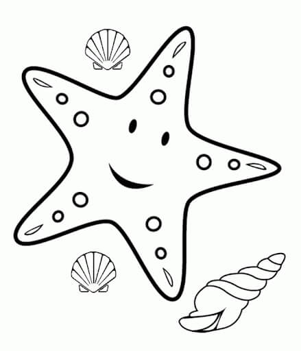 Dibujo de Estrellas de Mar y Caracoles Marinos Conchas Marinas para Colorear