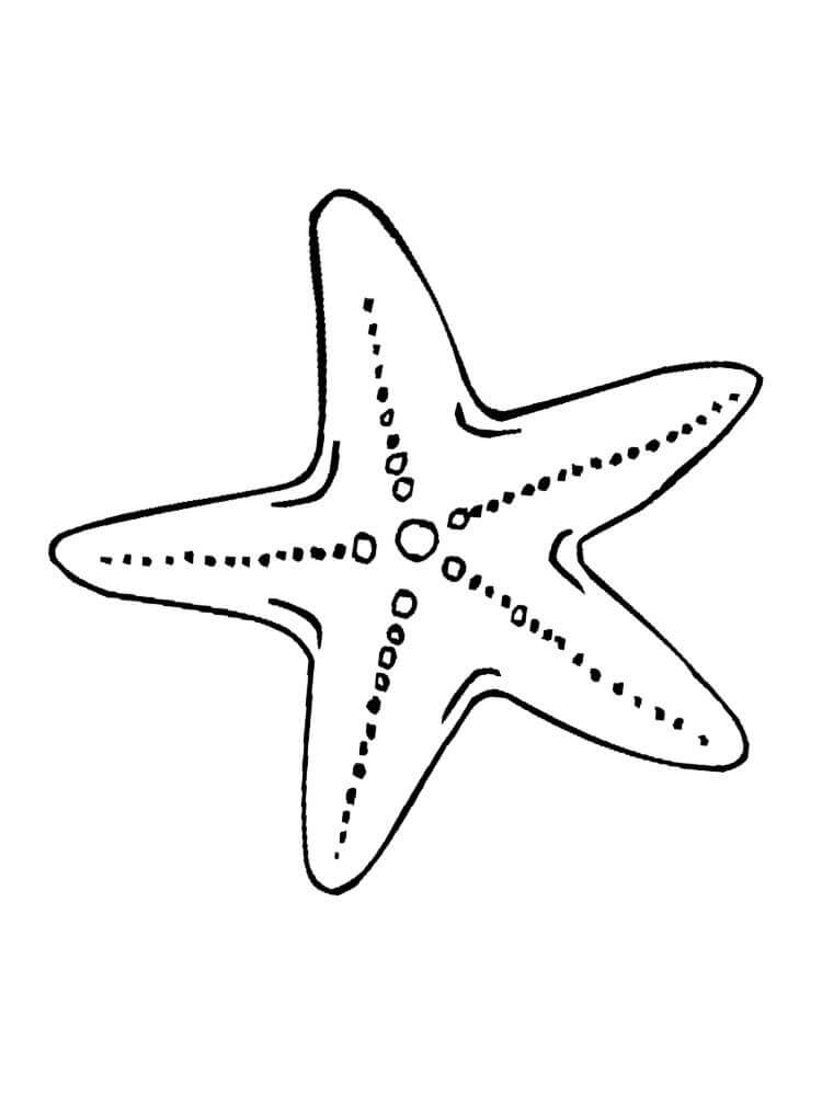 Dibujo de Patrick Estrella de Mar para Colorear
