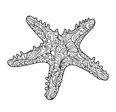 Dibujo de Tres Estrellas de Mar para Colorear