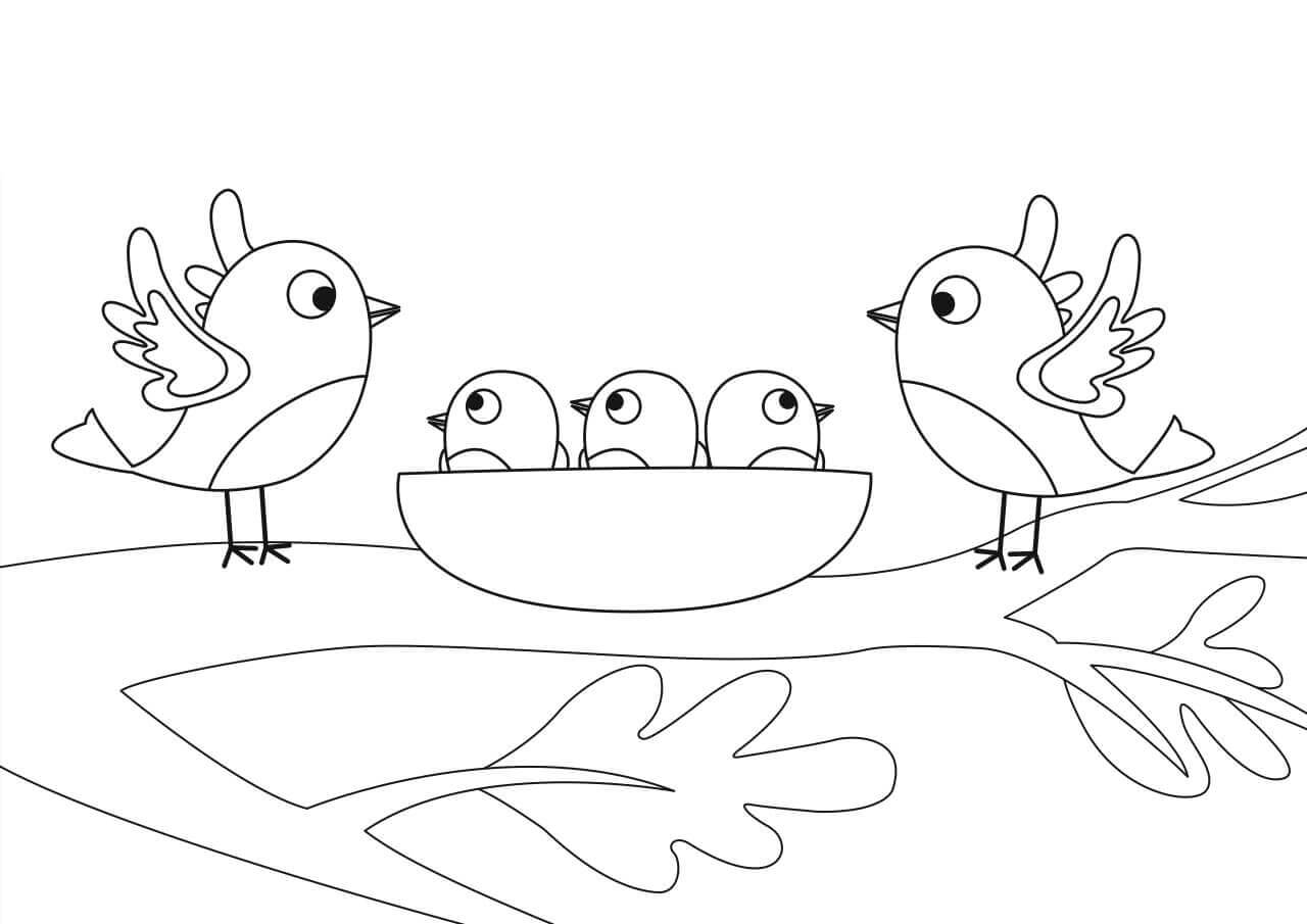 Dibujo de Familia de Aves para Colorear