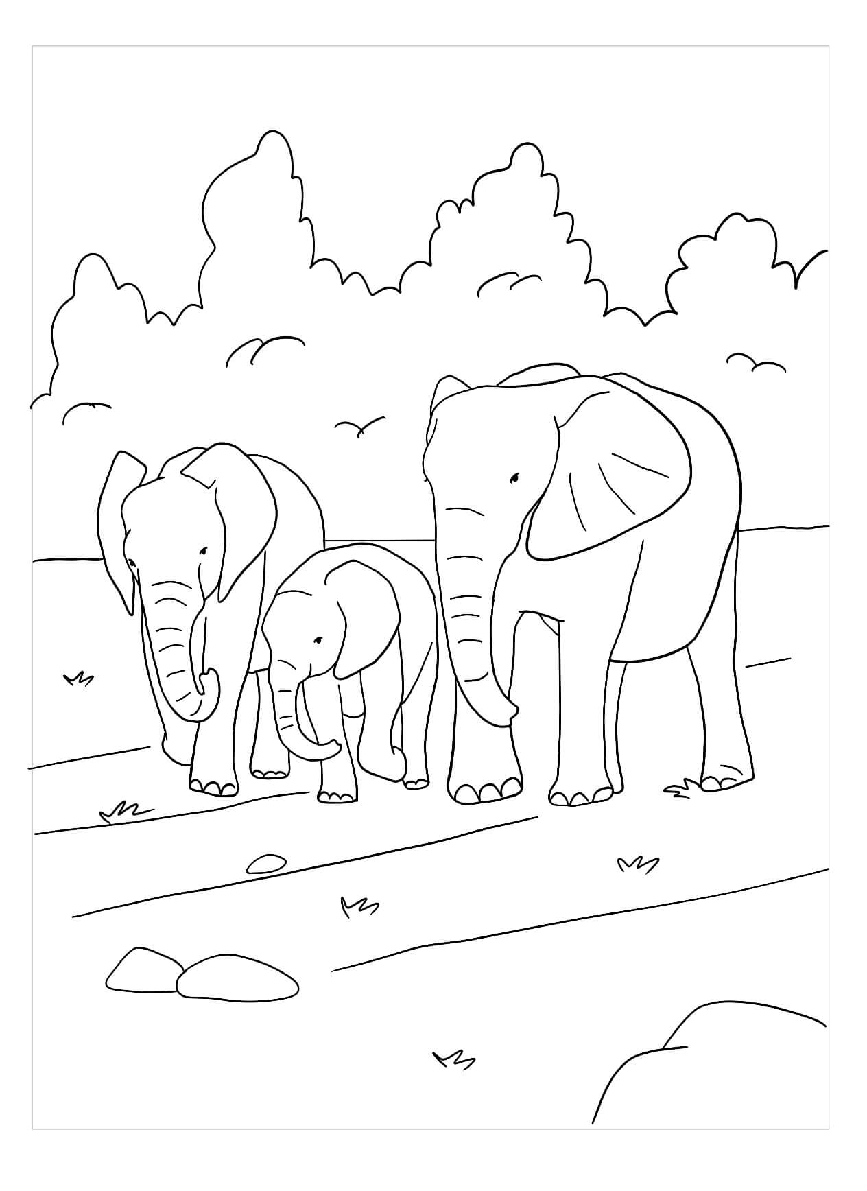 Dibujo de Familia de Elefantes para Colorear