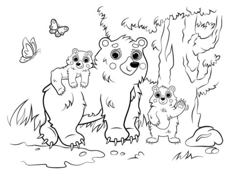 Dibujo de Oso de la Familia para Colorear