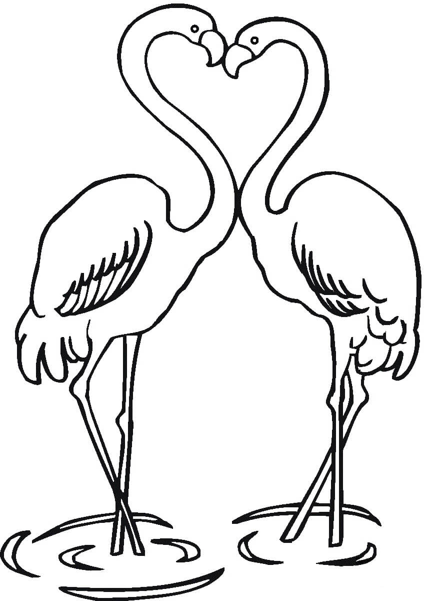 Dibujo de Amor Pareja Flamencos para Colorear