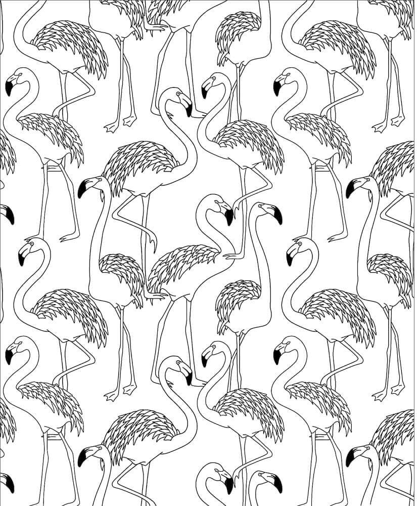 Dibujo de Bandada de Flamencos para Colorear