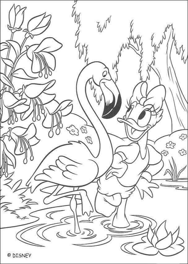 Dibujo de Daisy y Flamingo para Colorear