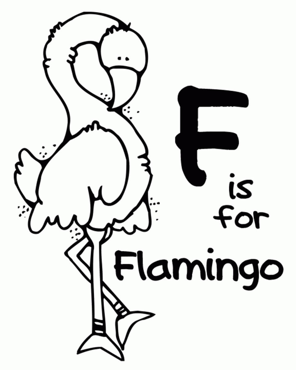 Dibujo de F de Flamingo para Colorear