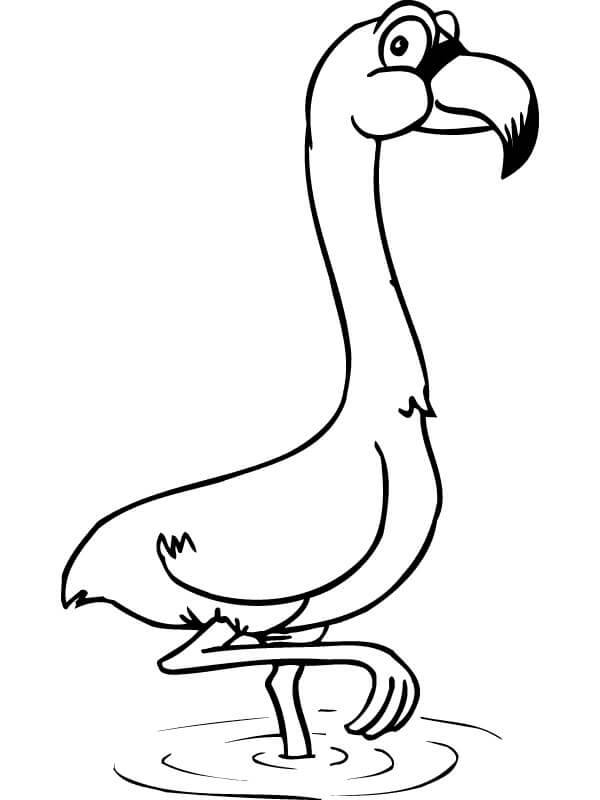 Dibujo de Flamenco Lindo para Colorear