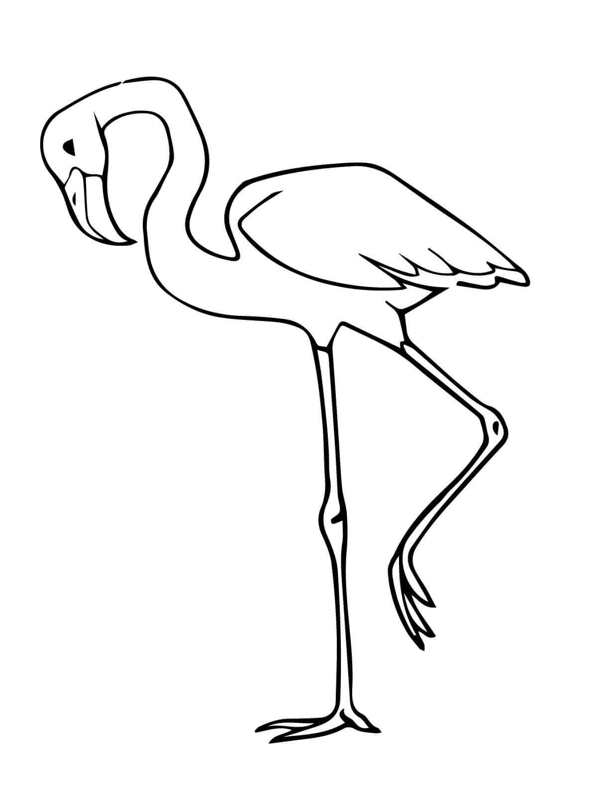 Dibujo de Flamenco Simple para Colorear