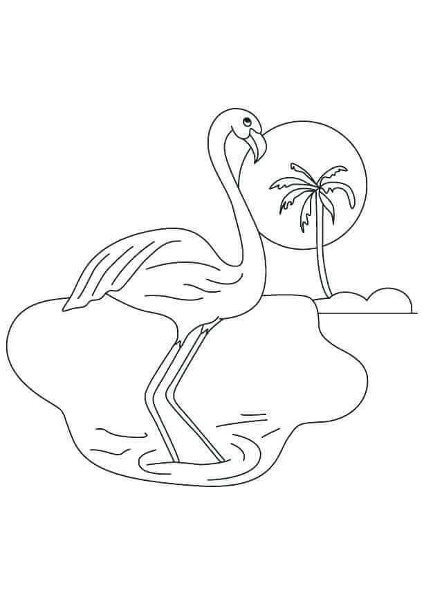 Dibujo de Flamingo en una Isla pequeña para Colorear