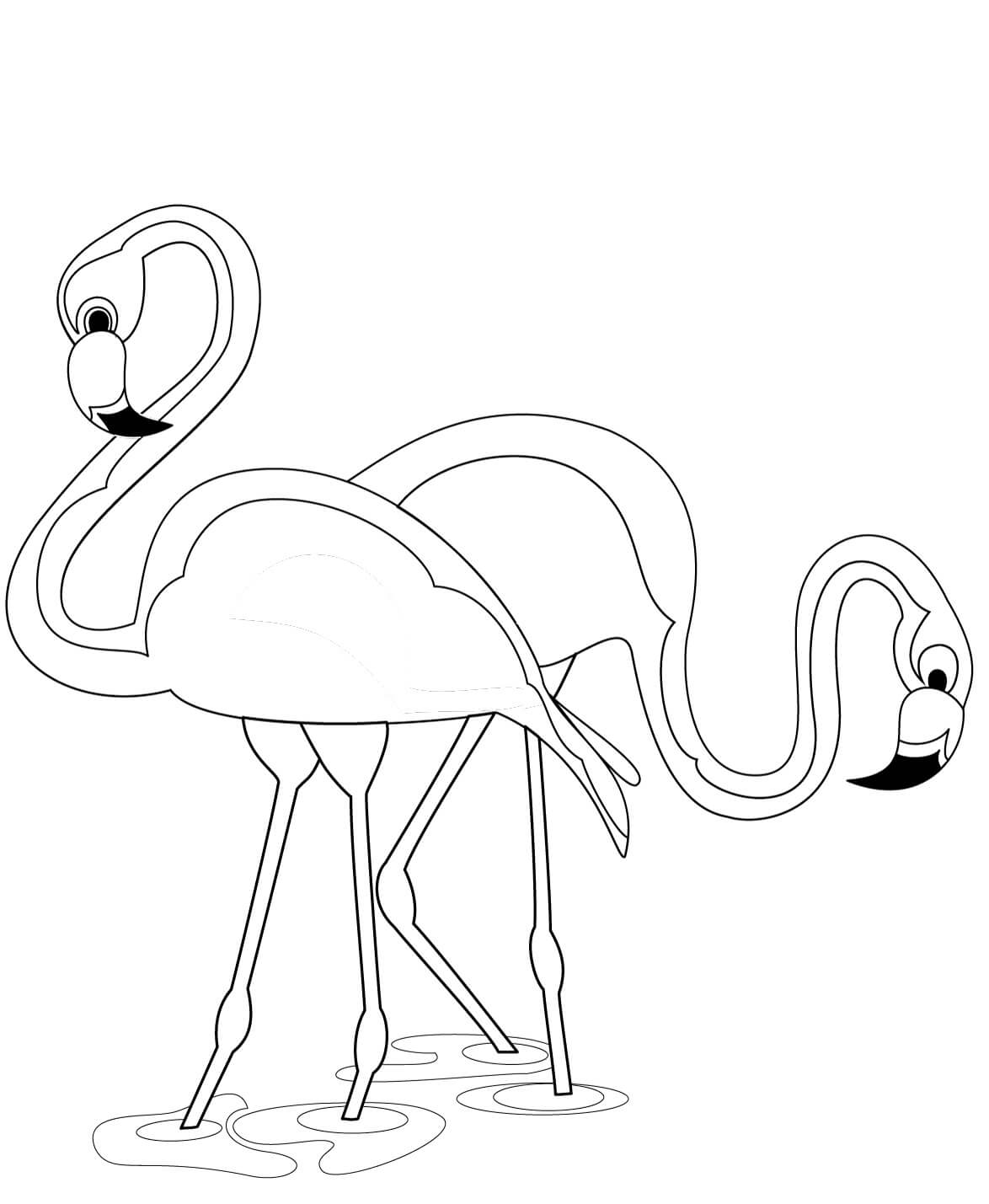 Dibujo de Hermosa Pareja de Flamencos para Colorear