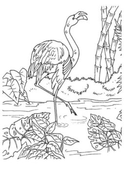 Dibujo de Hermoso Paisaje con Flamenco para Colorear