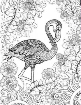 Dibujo de Mandala Flamenco para Colorear