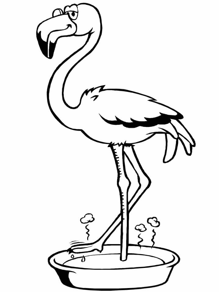 Dibujo de Remojo de Flamencos para Colorear