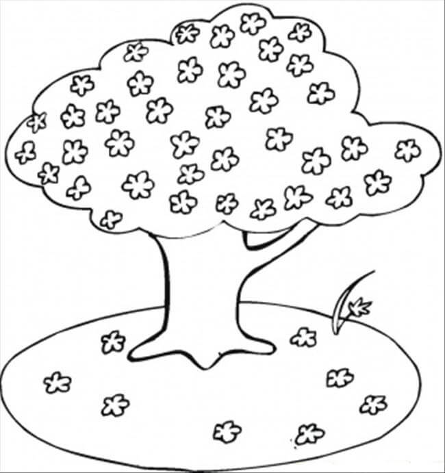 Dibujo de Rbol de Flor de Cerezo para Colorear