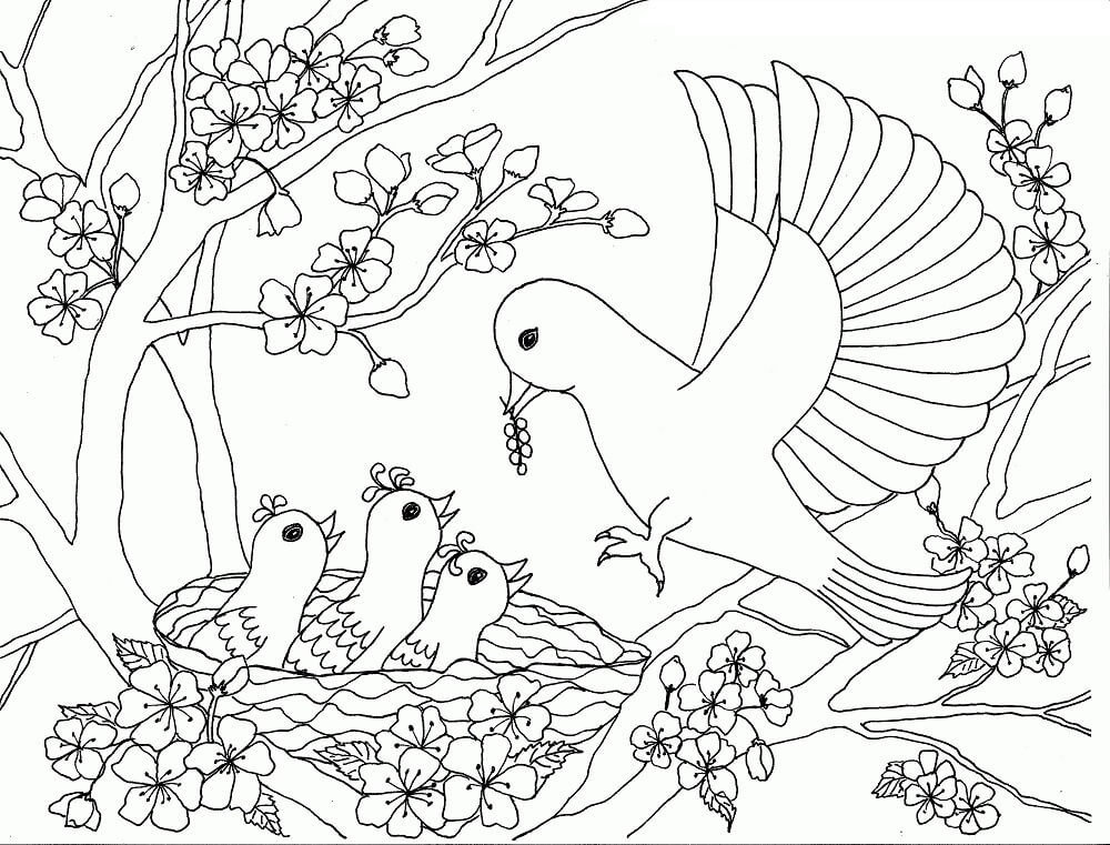 Dibujo de Familia de Aves en el Rbol de los Cerezos en Flor para Colorear