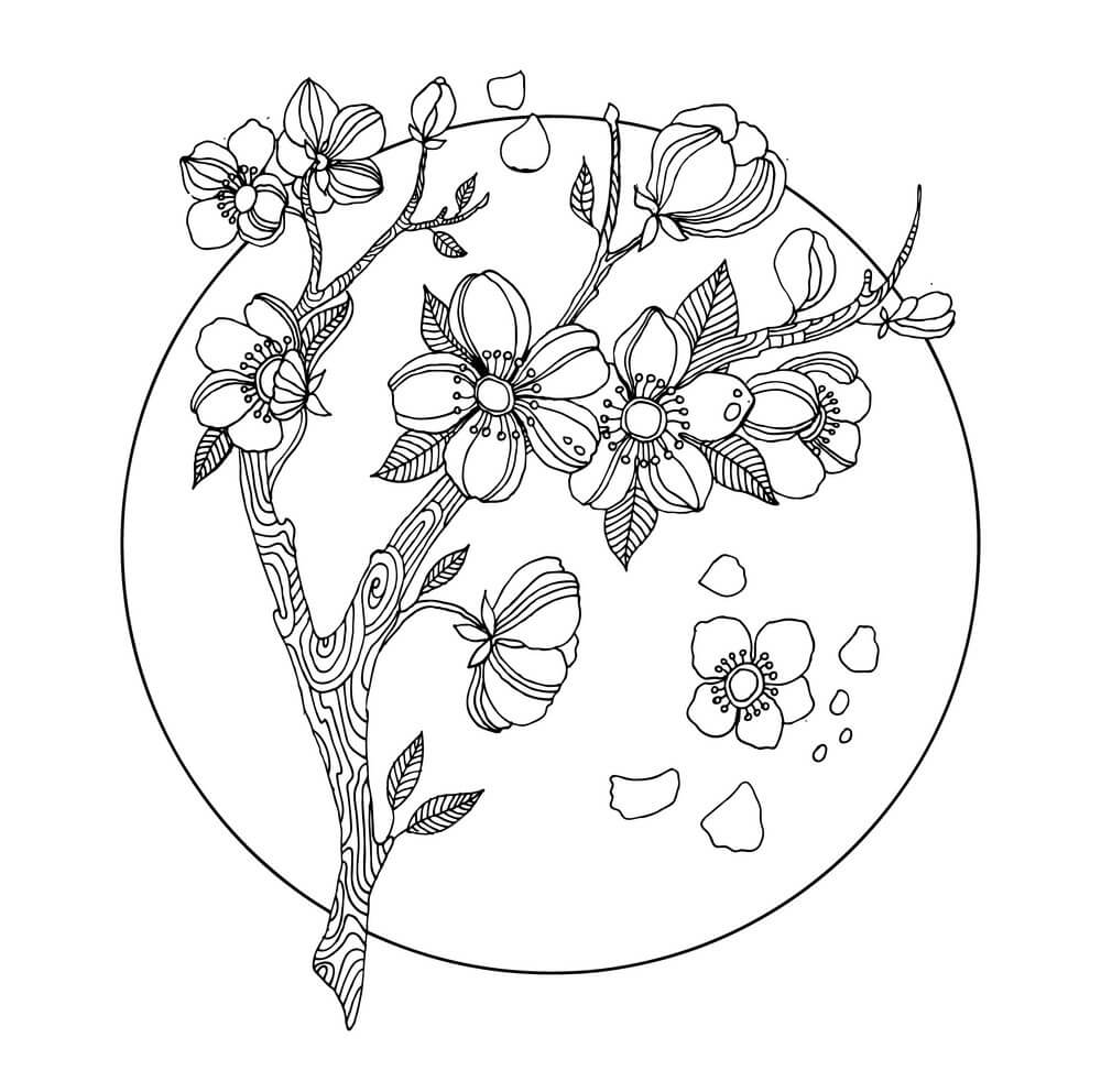 Dibujo de Flor de Cerezo Impresionante para Colorear