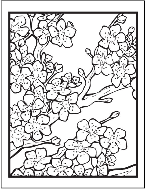 Dibujo de Flor de Cerezo Perfecta para Colorear