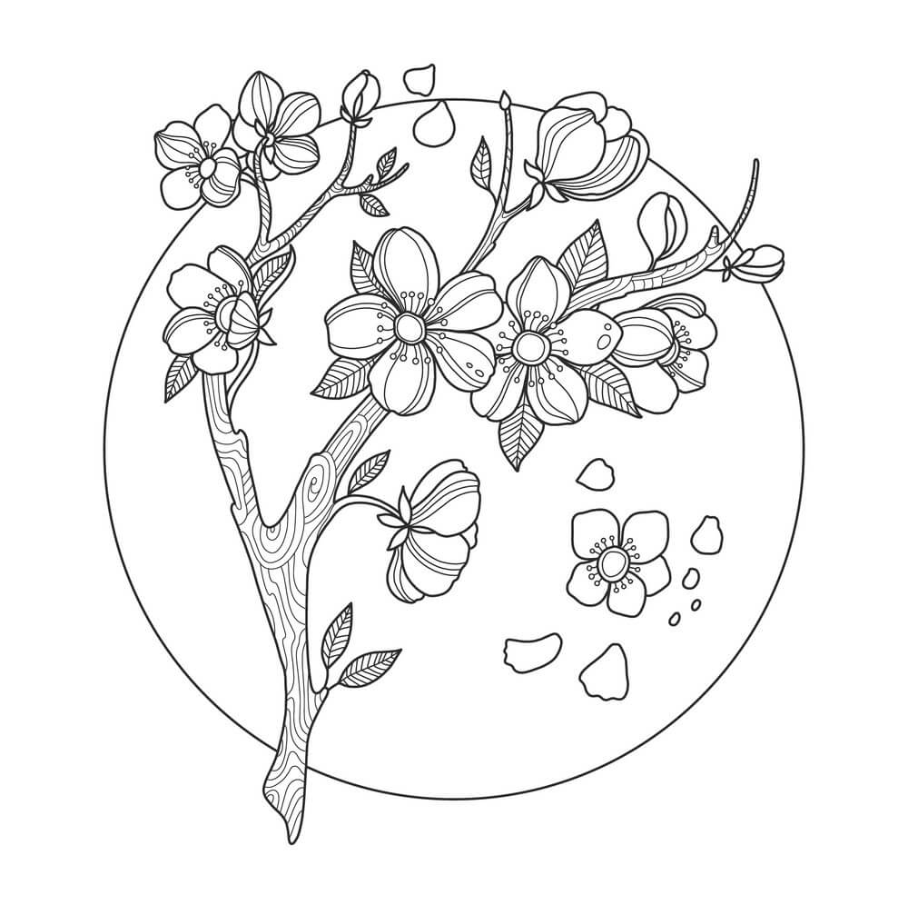 Dibujo de Flor de Cerezo en Crculo para Colorear