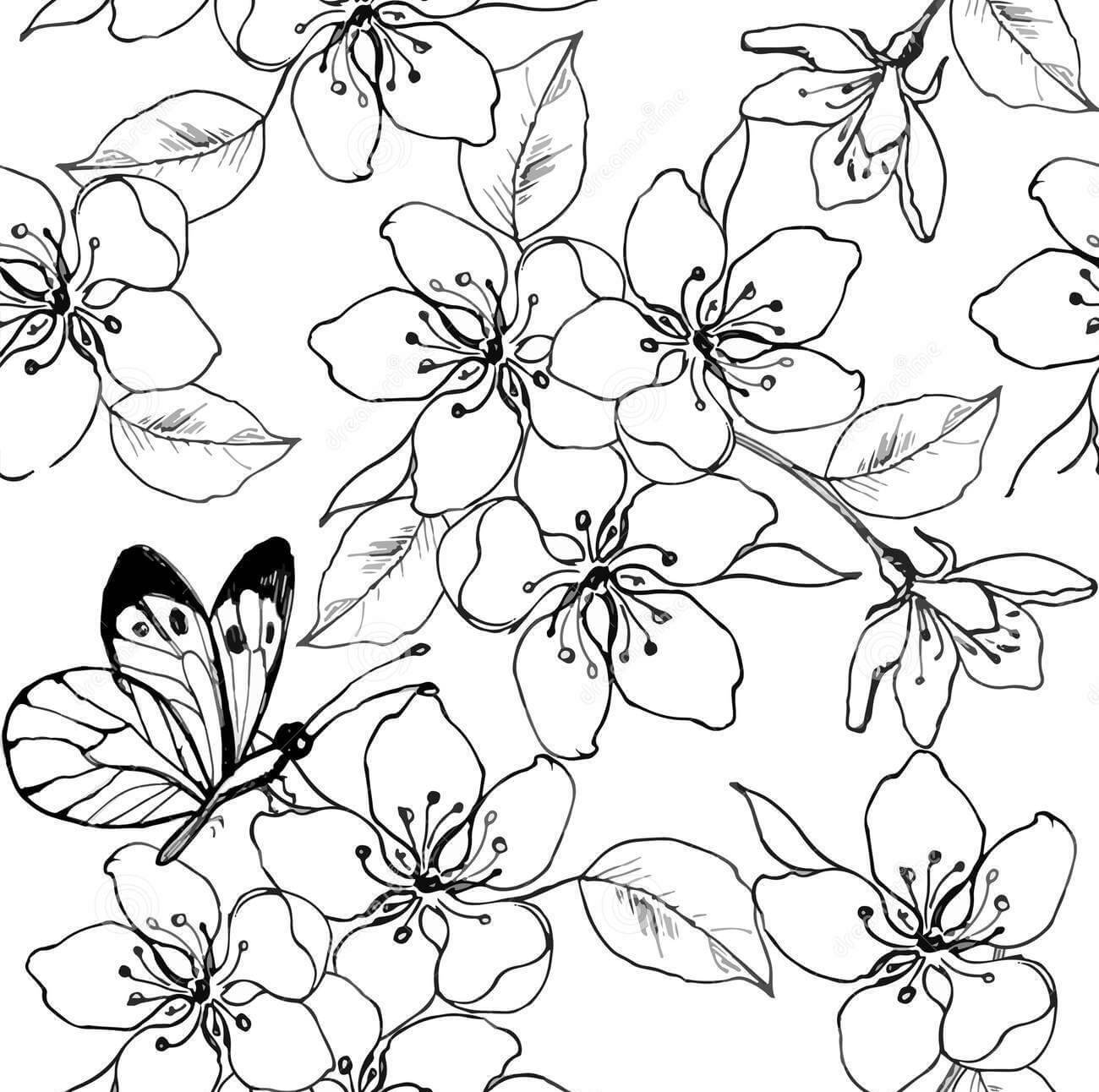 Dibujo de Flor de Cerezo y Mariposa para Colorear