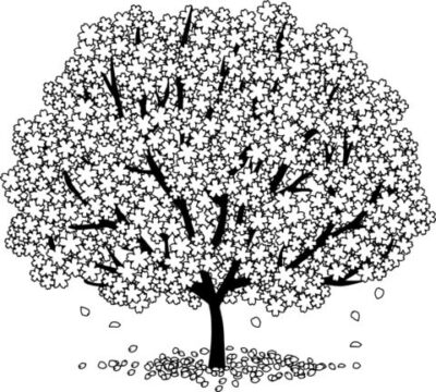 Dibujo de Hermoso Rbol de Flor de Cerezo para Colorear