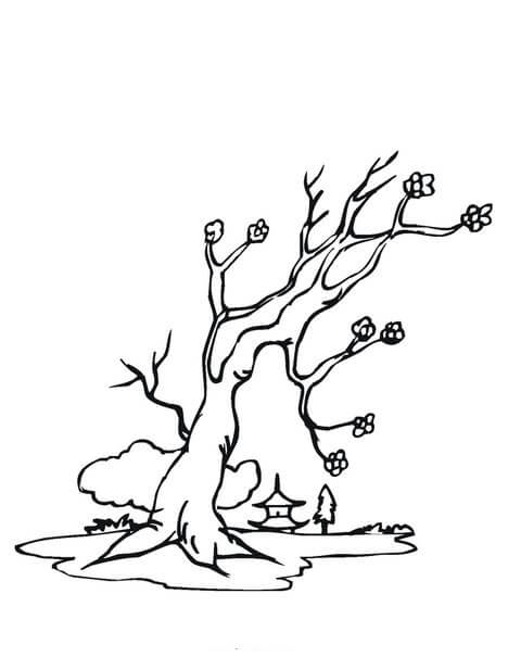 Dibujo de Muerte del Rbol de Flor de Cerezo para Colorear