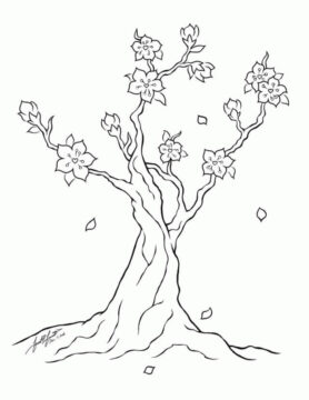 Dibujo de Rbol de Flor de Cerezo Simple para Colorear