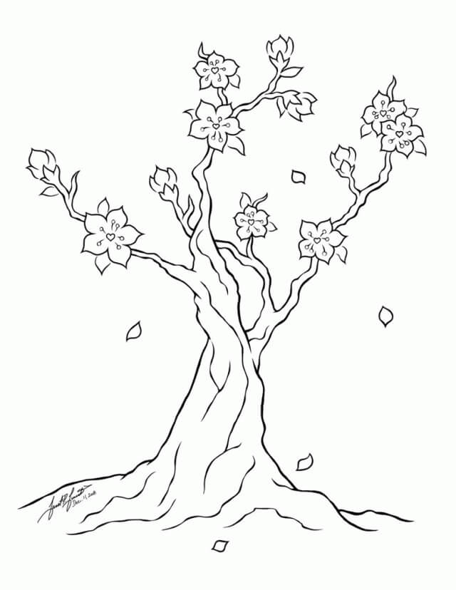 Dibujo de Rbol de Flor de Cerezo Simple para Colorear