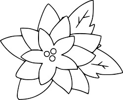Dibujo de Flor de Pascua 1 para Colorear