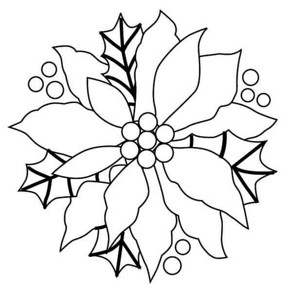 Dibujo de Gran Poinsettia para Colorear