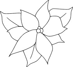 Dibujo de Poinsettia Floreciente para Colorear