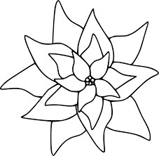 Dibujo de Poinsettia Lindo para Colorear