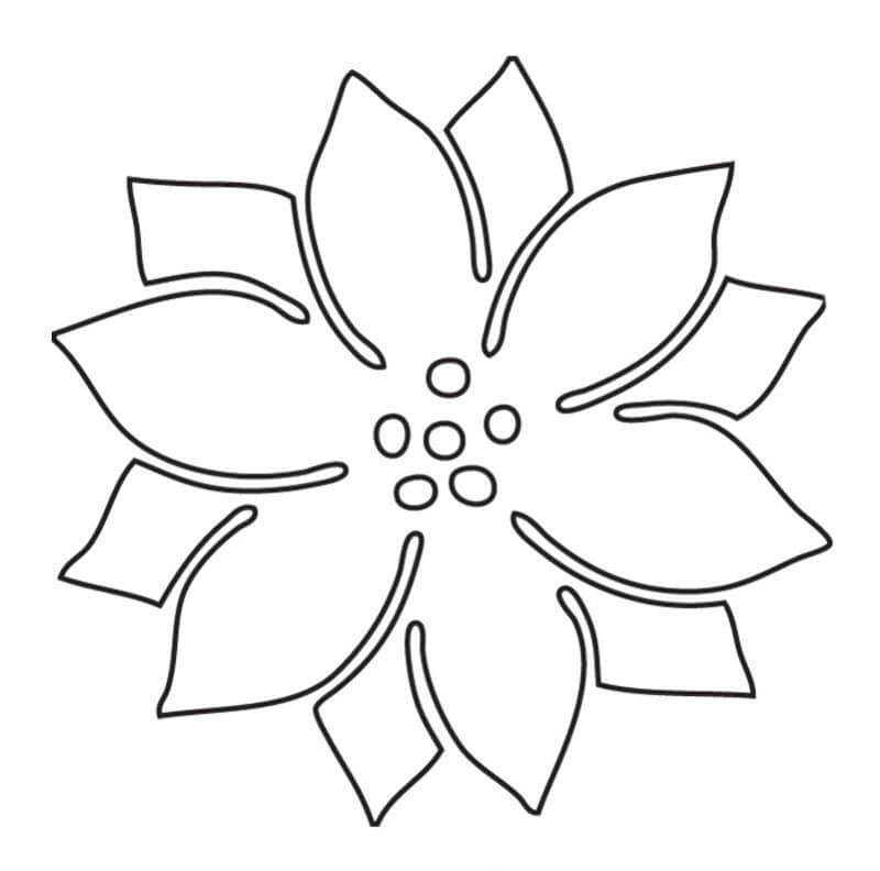 Dibujo de Poinsettia Perfecta para Colorear