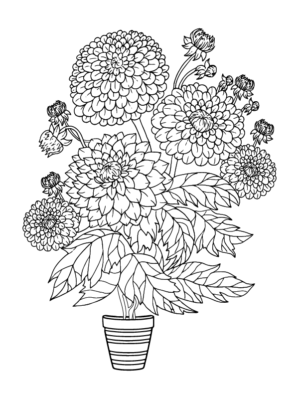 Dibujo de Adult Flower Coloring Pagepng para Colorear