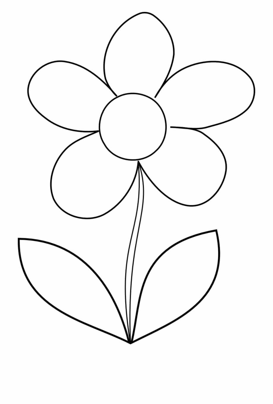 Dibujo de Flor Margarita para Colorear