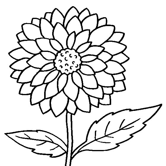 Dibujo de Flor Imprimible para Colorear