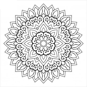 Dibujo de Flor Rosa para Colorear