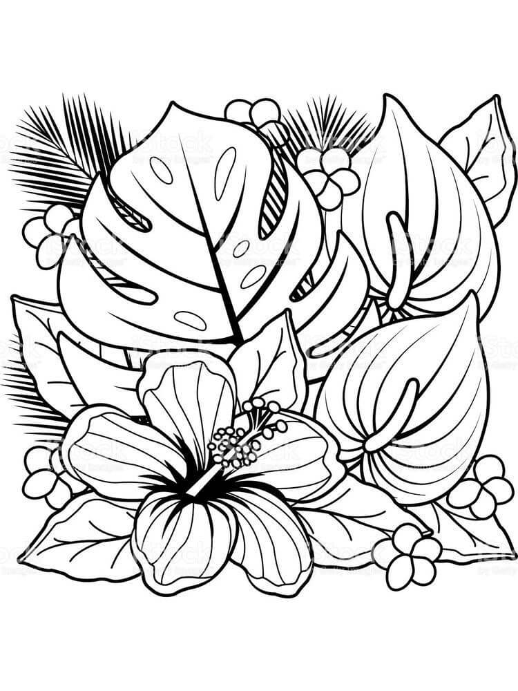 Dibujo de Flor Simple para Colorear