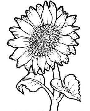 Dibujo de Girasol para Colorear