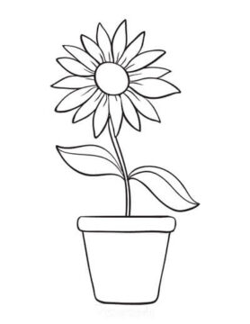 Dibujo de Maceta de Girasol para Colorear