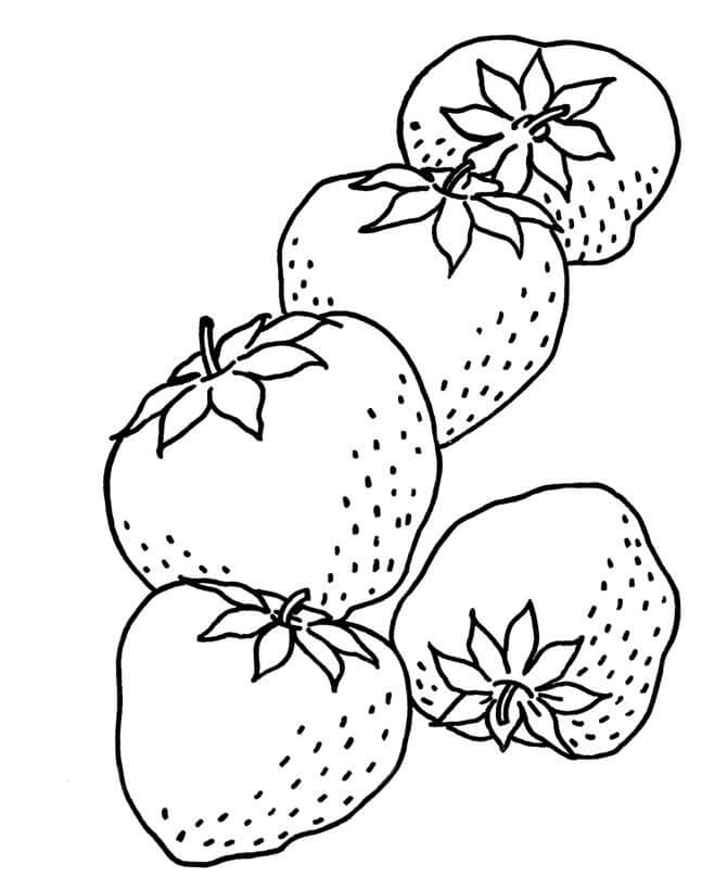 Dibujo de Cinco básicos Fresa para Colorear