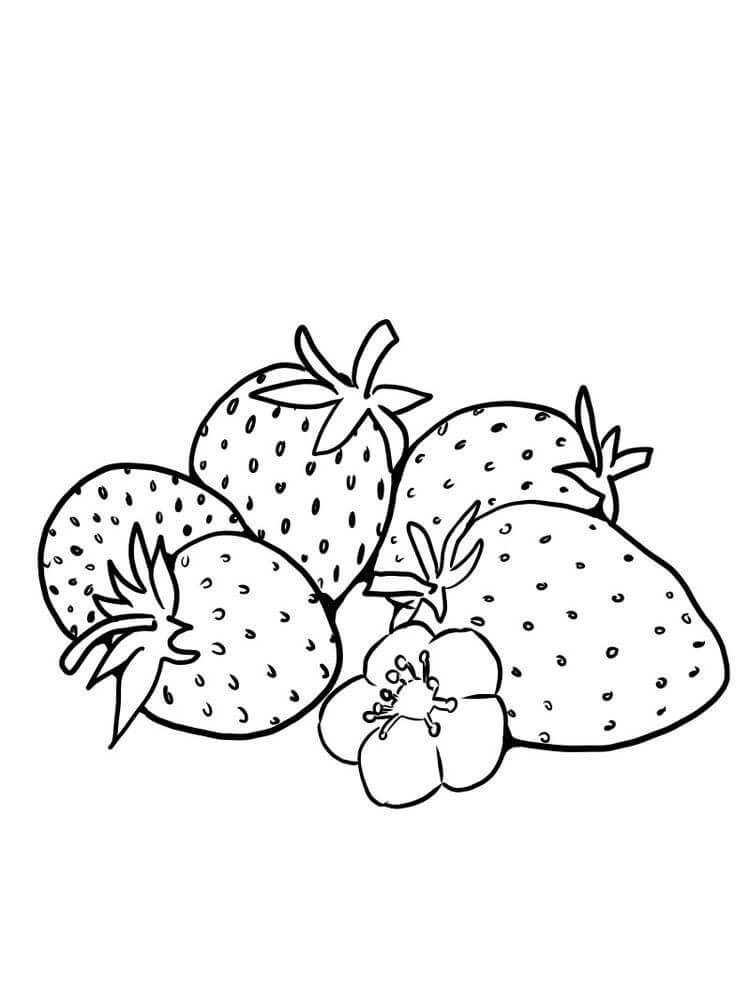 Dibujo de Cinco Fresas con Flor para Colorear